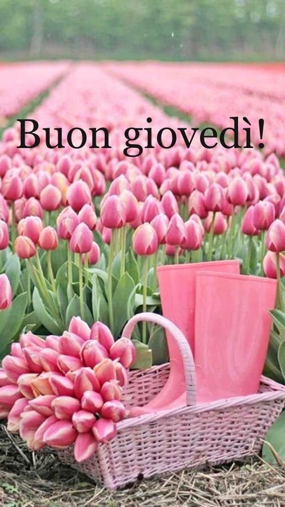 Buon Giovedì Immagini​ 109