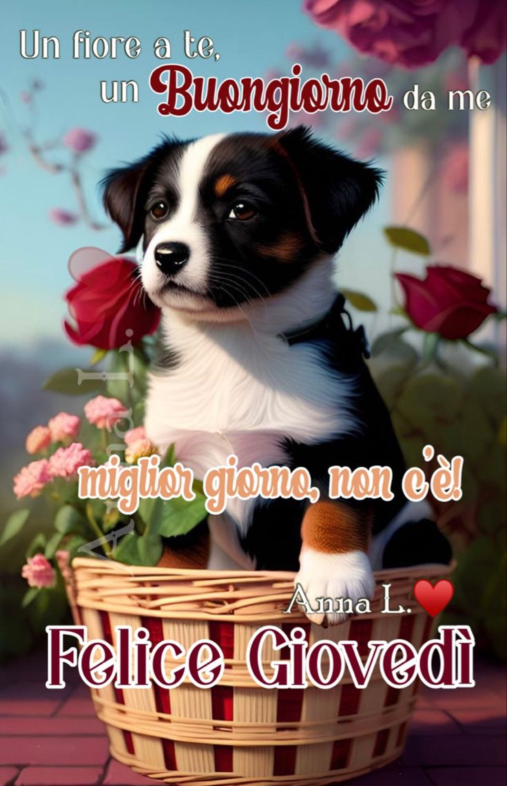 Buon Giovedì Immagini​ 20