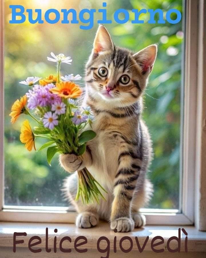 Buon Giovedì Immagini​ 62