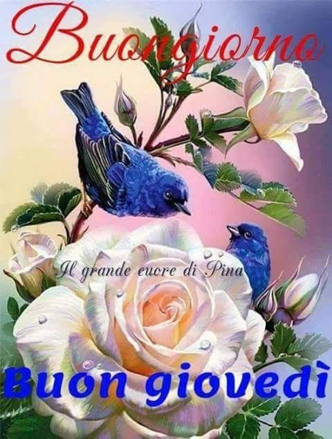 Buon Giovedì Immagini​ 74
