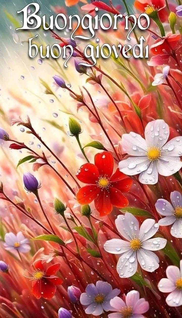 Buon Giovedì Immagini​ 88