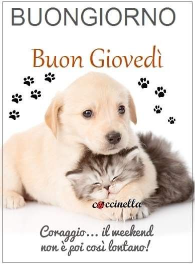Buon Giovedì Immagini​ 90