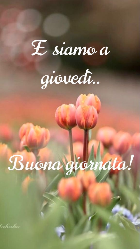 Buon Giovedì Immagini​ 93