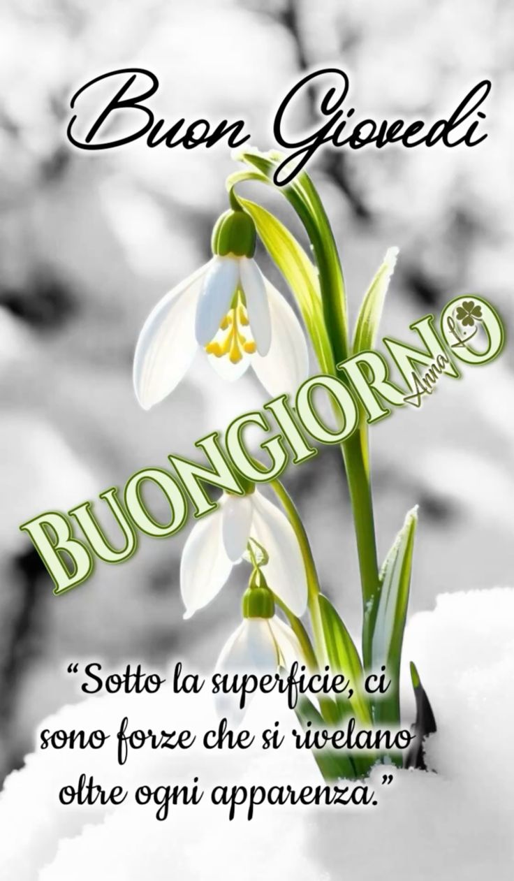 Buon Giovedì Immagini​ 96