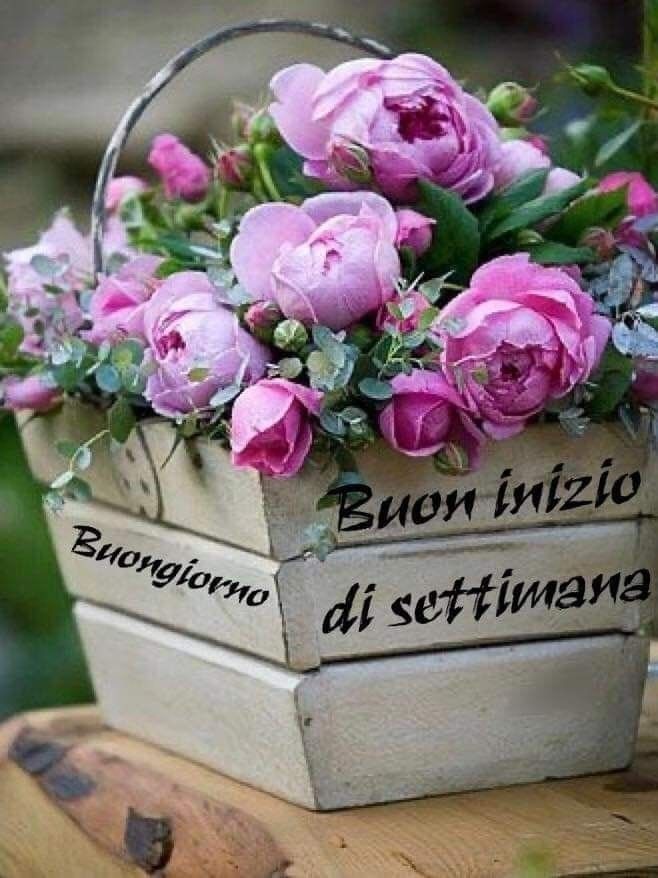 Buon Inizio Settimana Immagini​ 101