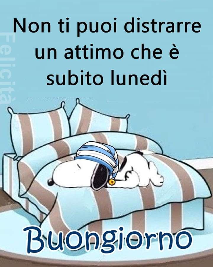 Buon Inizio Settimana Immagini​ 117