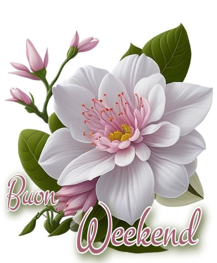 Buon Inizio Settimana Immagini​ 13