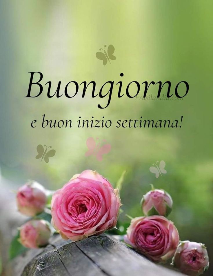 Buon Inizio Settimana Immagini​ 131