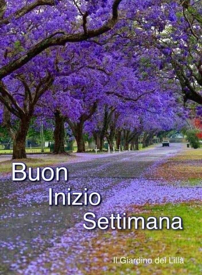 Buon Inizio Settimana Immagini​ 137