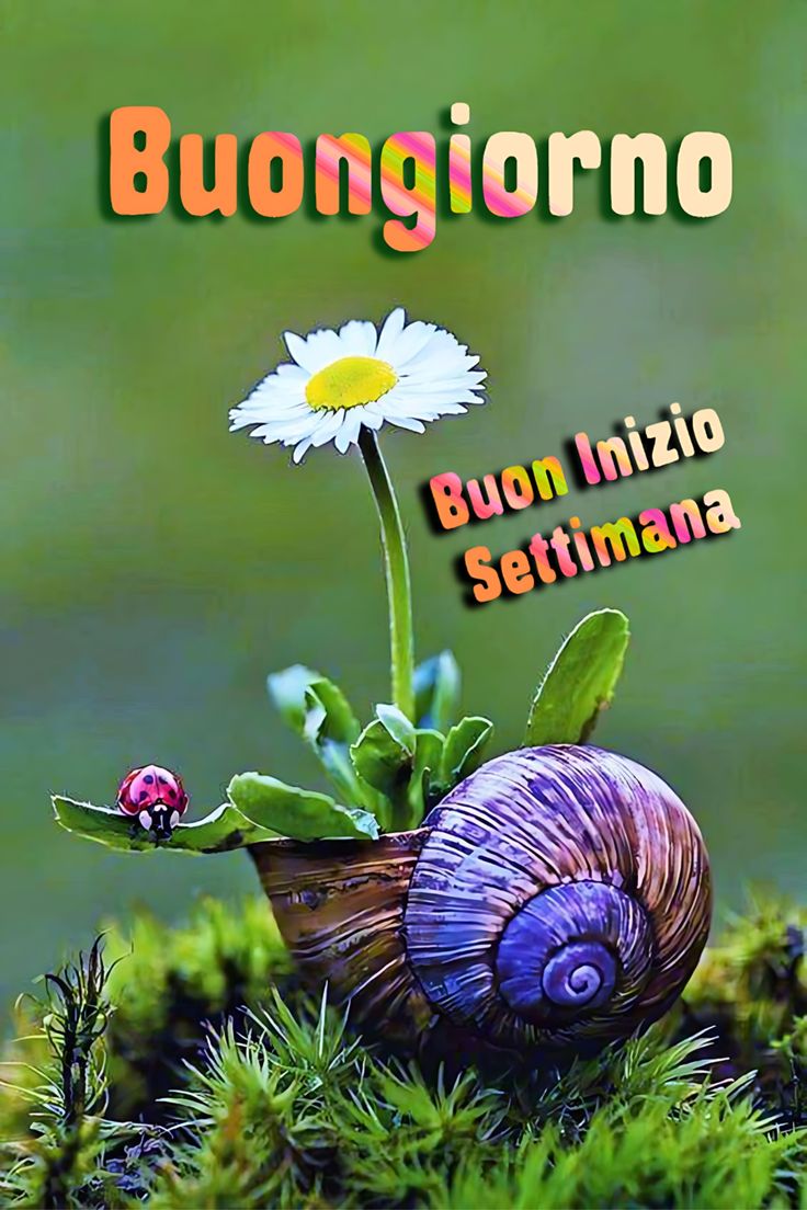 Buon Inizio Settimana Immagini​ 138