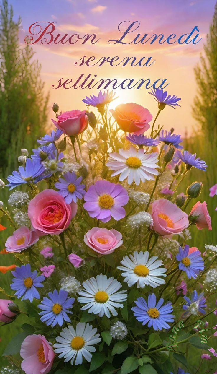 Buon Inizio Settimana Immagini​ 148