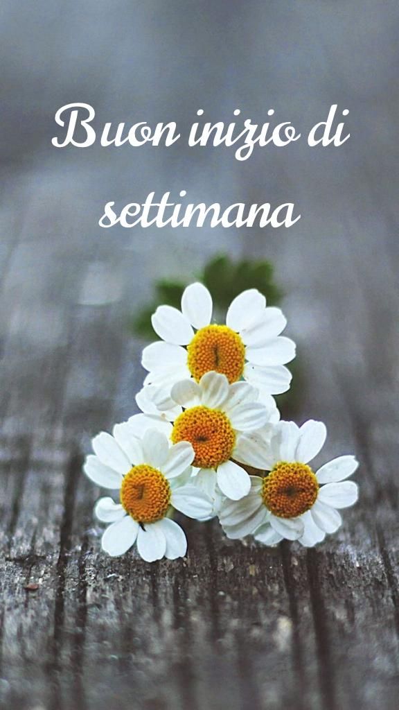 Buon Inizio Settimana Immagini​ 2