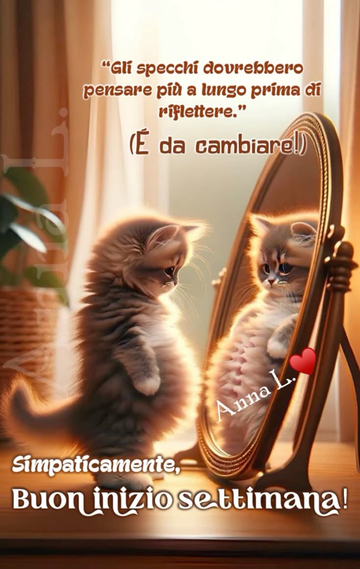 Buon Inizio Settimana Immagini​ 43