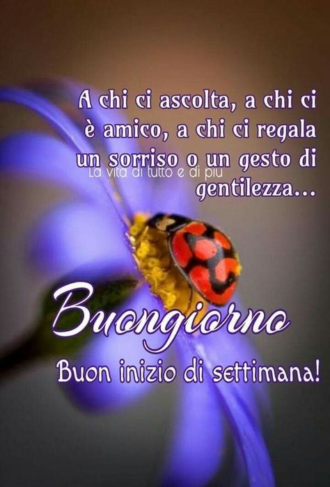 Buon Inizio Settimana Immagini​ 87