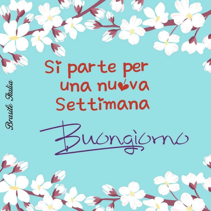 Buon Inizio Settimana Immagini​ 9