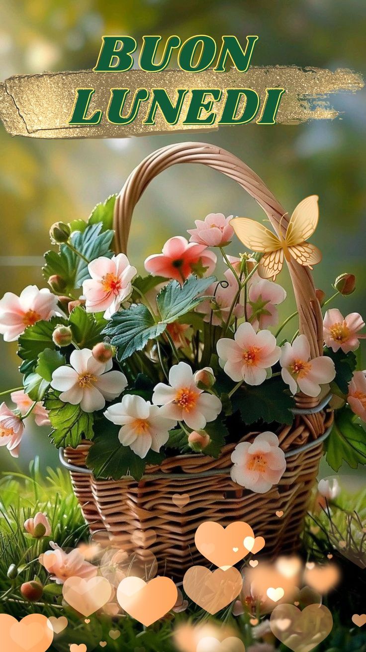 Buon Inizio Settimana Immagini​ 91