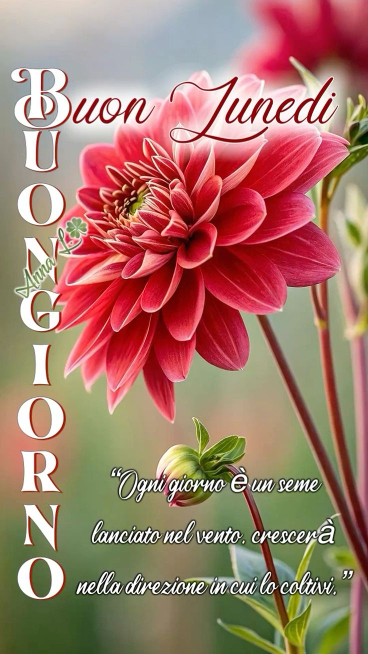 Buon Lunedì Immagini​ 128