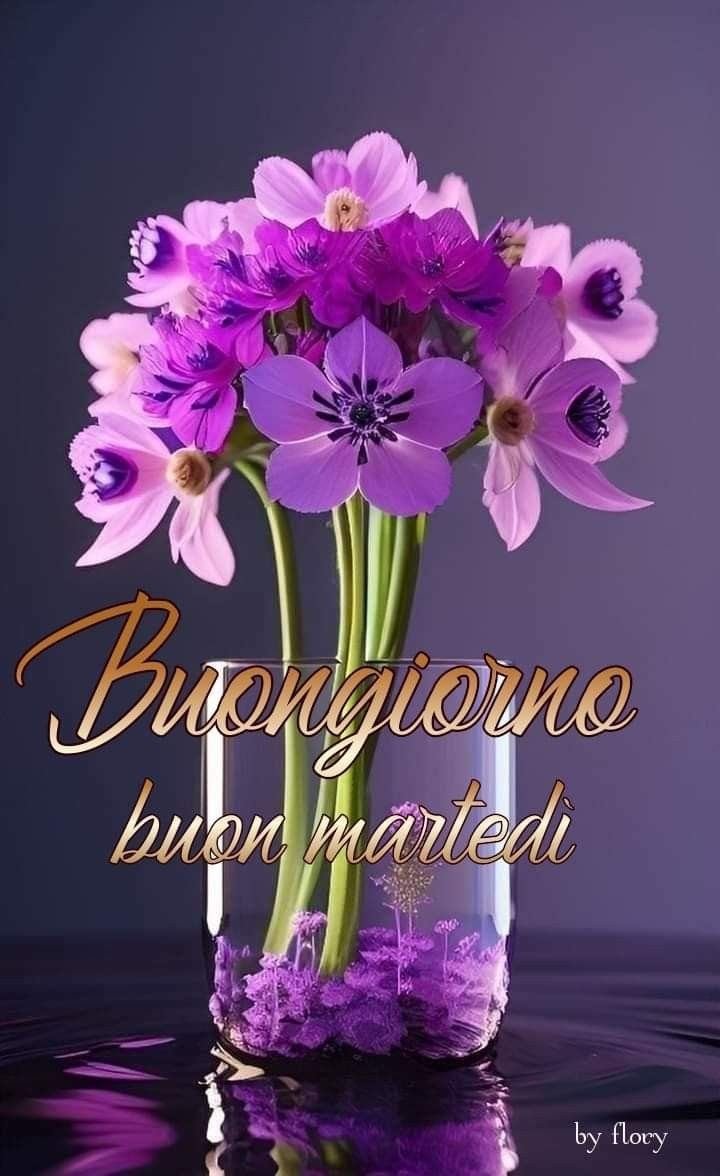 Buon Martedì Immagini Nuove​ 114