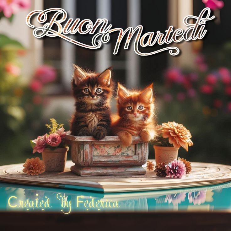 Buon Martedì Immagini Nuove​ 138