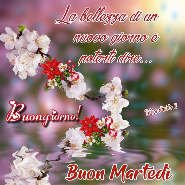 Buon Martedì Immagini Nuove​ 20