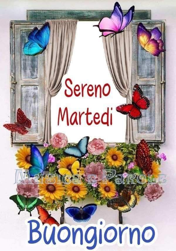 Buon Martedì Immagini Nuove​ 3