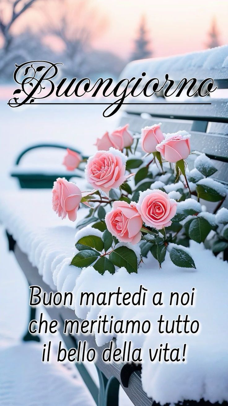 Buon Martedì Immagini Nuove​ 30