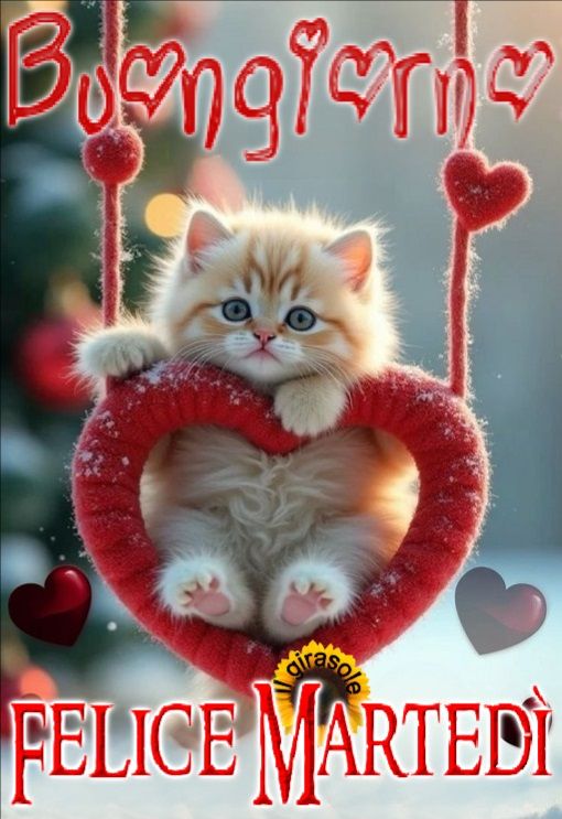 Buon Martedì Immagini Nuove​ 59