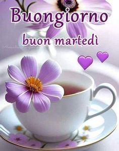 Buon Martedì Immagini Nuove​ 66