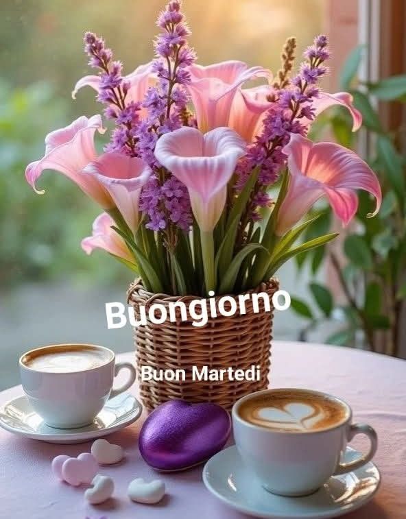 Buon Martedì Immagini Nuove​ 67