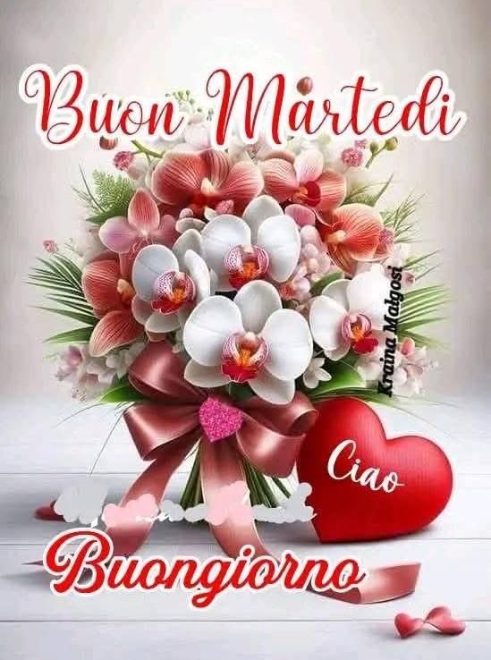 Buon Martedì Immagini Nuove​ 76