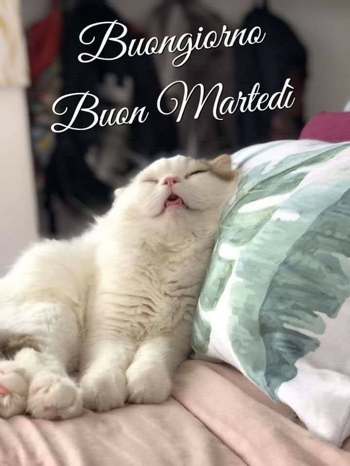 Buon Martedì Immagini Nuove​ 87