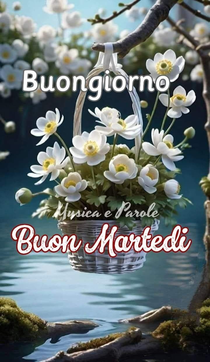 Buon Martedì Immagini Nuove​ 9