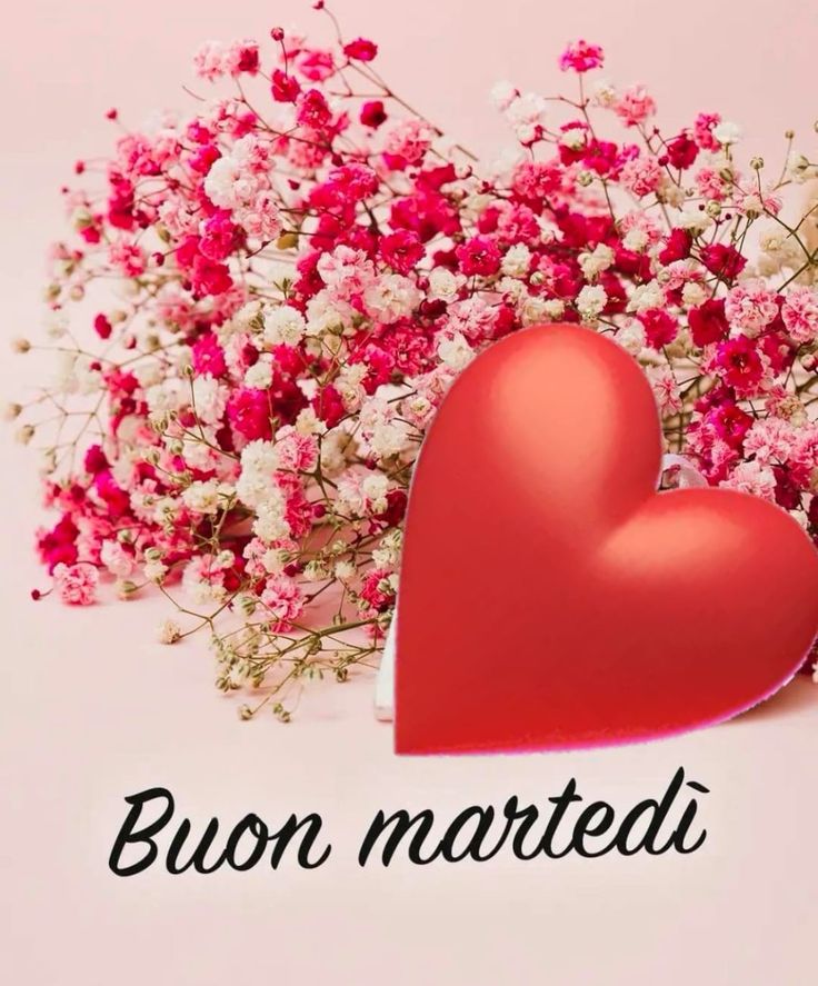Buon Martedì Immagini Nuove​ 90