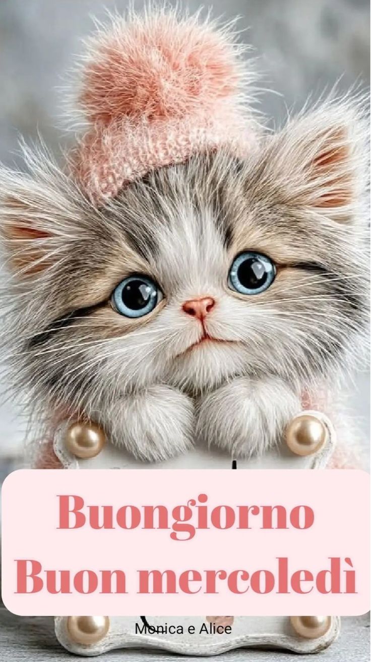 Buon Mercoledì Immagini​ 30