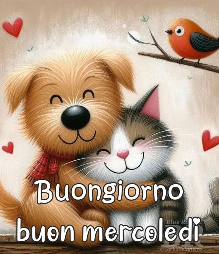 Buon Mercoledì Immagini​ 33