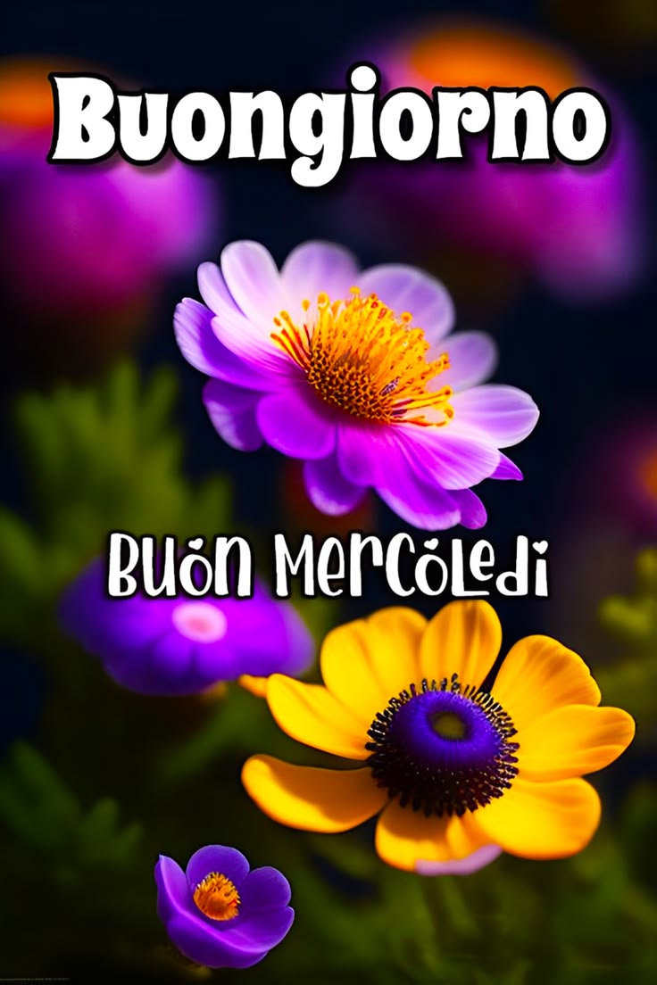 Buon Mercoledì Immagini​ 54