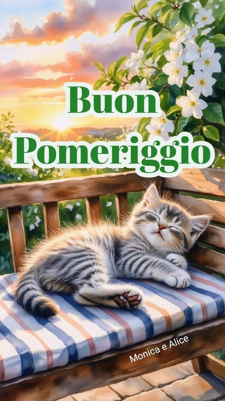 Buon Pomeriggio Immagini​ 101