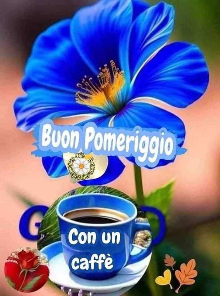 Buon Pomeriggio Immagini​ 108