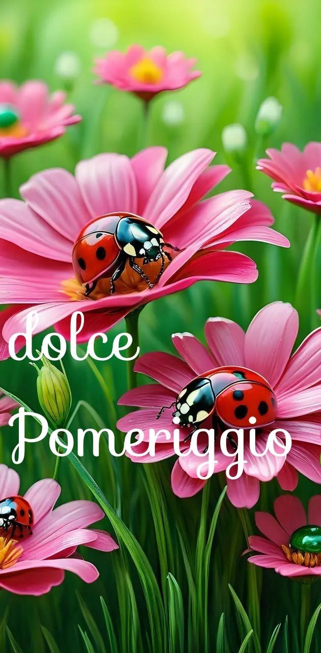 Buon Pomeriggio Immagini​ 113