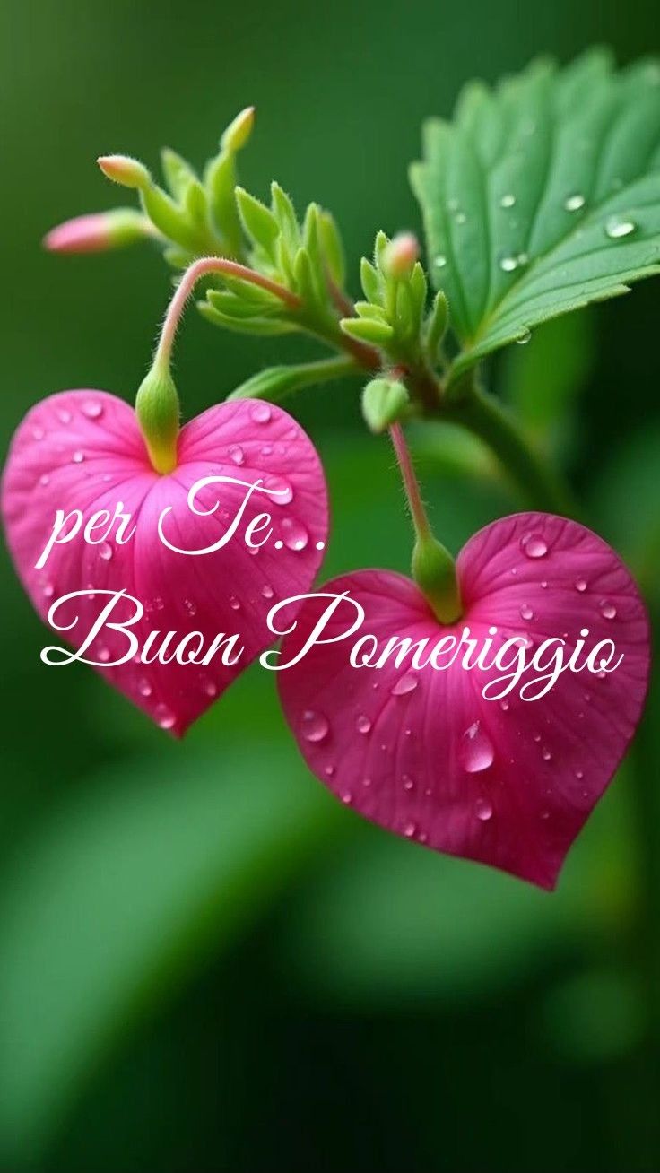 Buon Pomeriggio Immagini​ 128