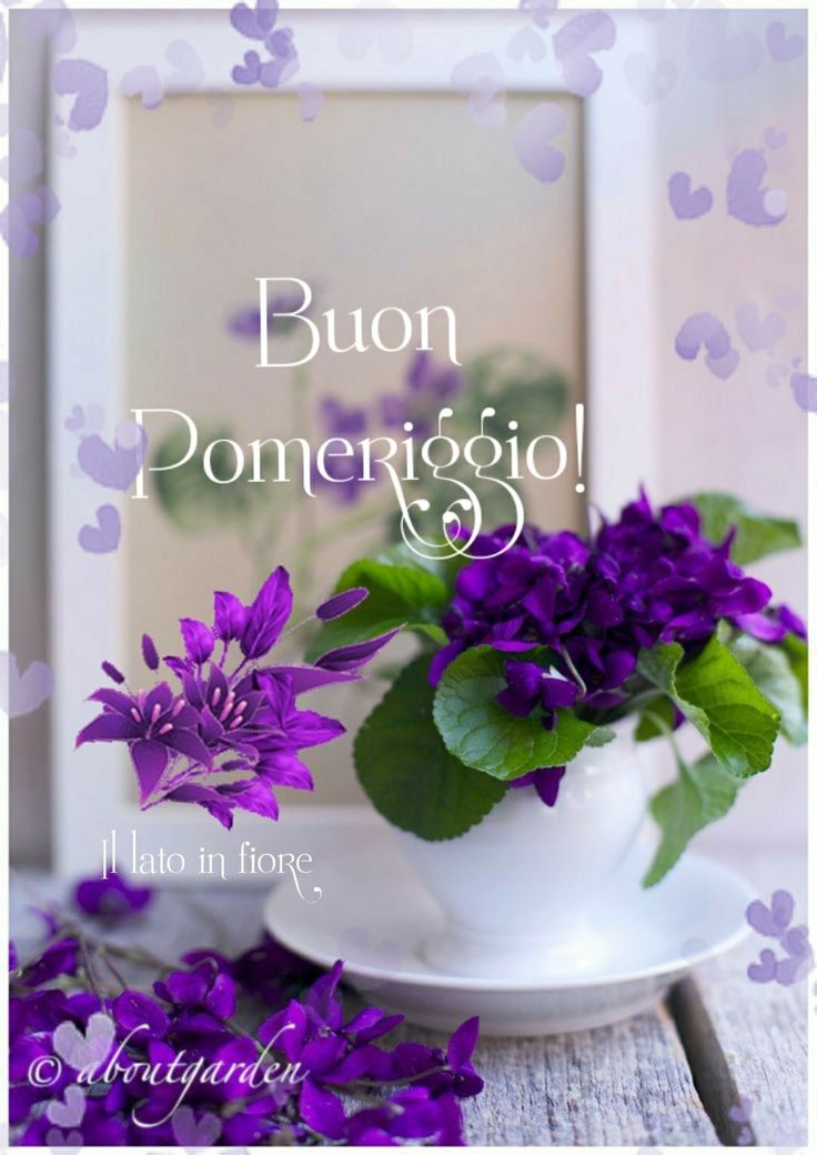Buon Pomeriggio Immagini​ 137