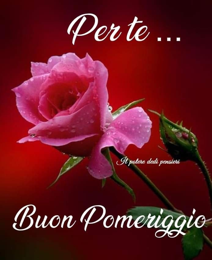 Buon Pomeriggio Immagini​ 138
