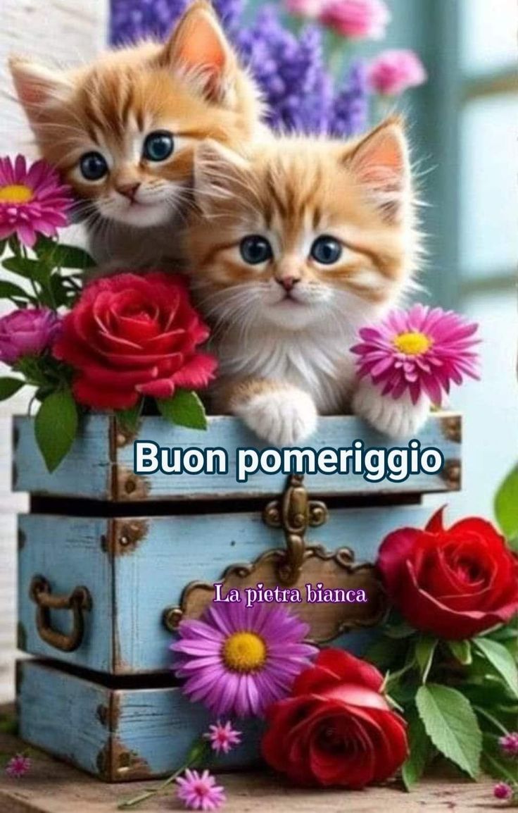 Buon Pomeriggio Immagini​ 15