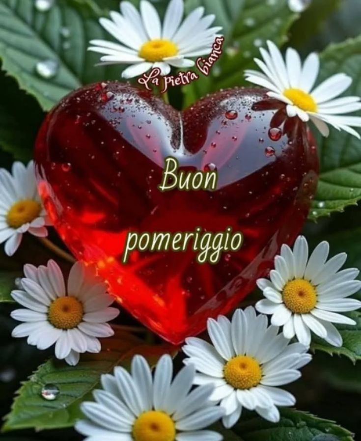 Buon Pomeriggio Immagini​ 18