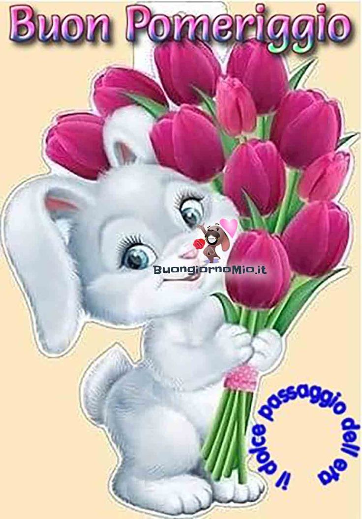 Buon Pomeriggio Immagini​ 19