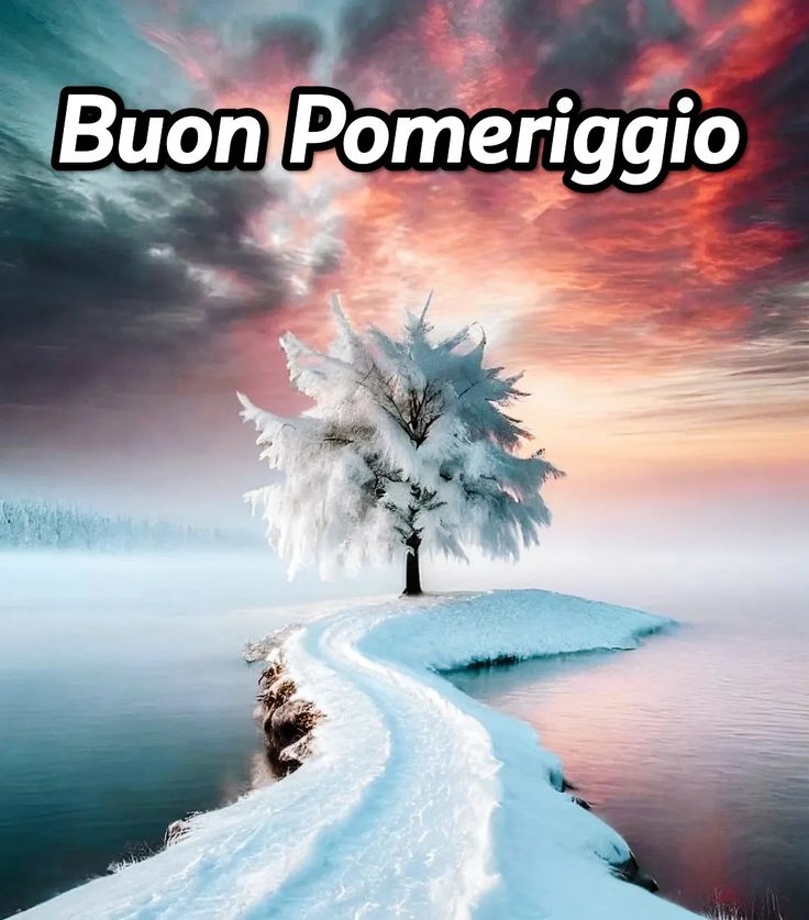 Buon Pomeriggio Immagini​ 33