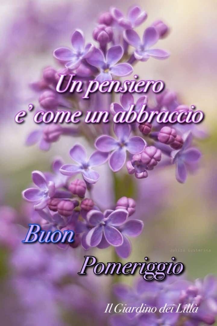 Buon Pomeriggio Immagini​ 45