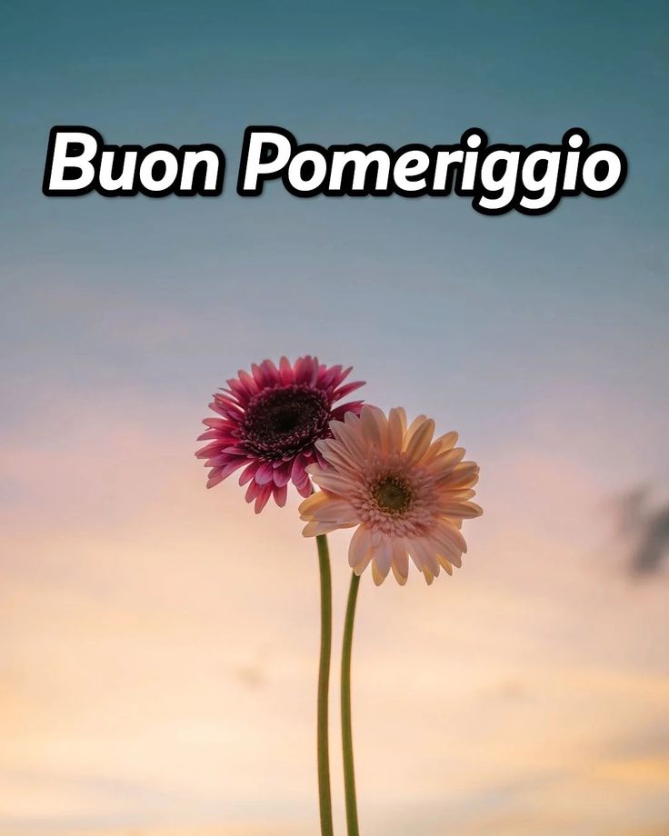 Buon Pomeriggio Immagini​ 56