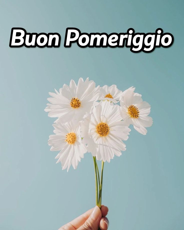 Buon Pomeriggio Immagini​ 68