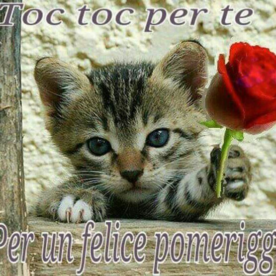 Buon Pomeriggio Immagini​ 75